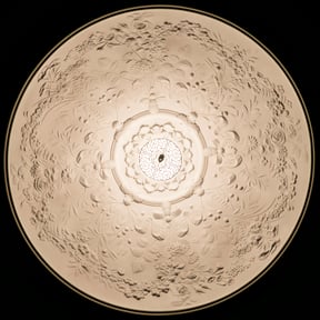 HD - Partners Patrimoine - 25 avril 2019 - Dimitri LAMOUR - _S4A5174 - 5174