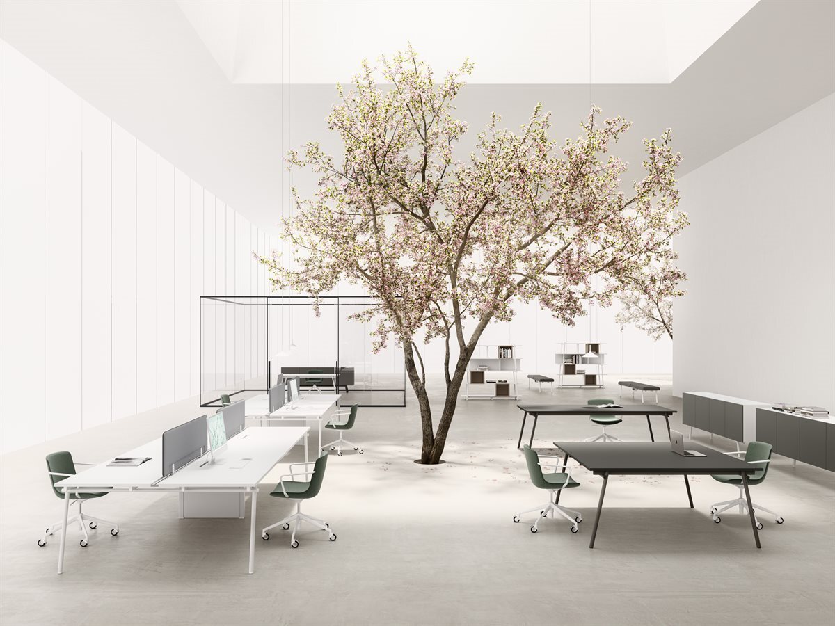 24193-DVO-KNT-Knot-Comp02-01-co-o