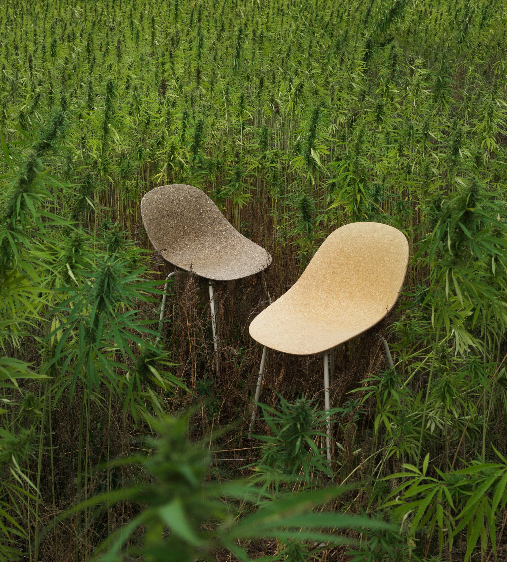 mat-chairs-hemp-eelgrass_dezeen_2364_col_17-1704x1889