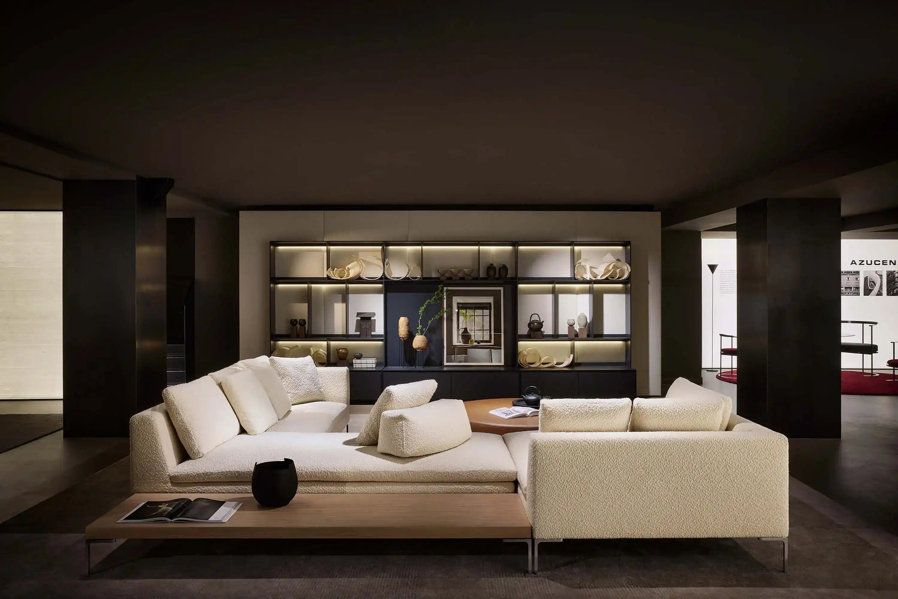 salon canapé blanc - système bibliothèque résidentielle 